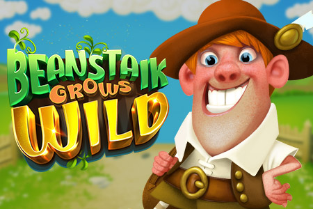 Beanstalk Grows Wild